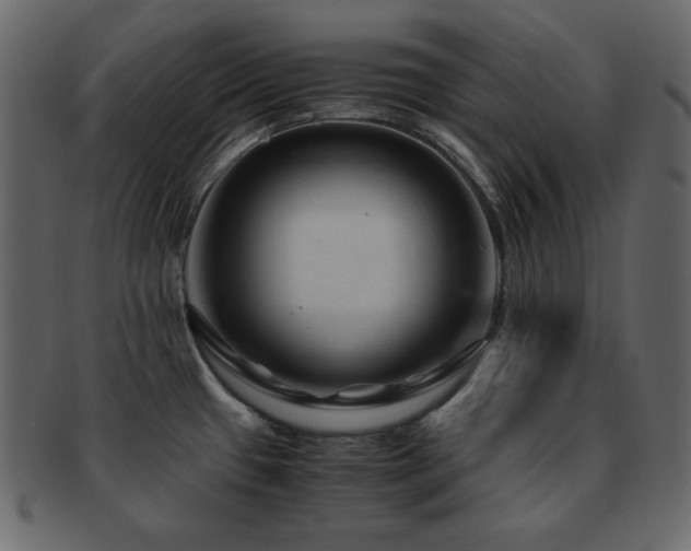 X0000093161433200709261500