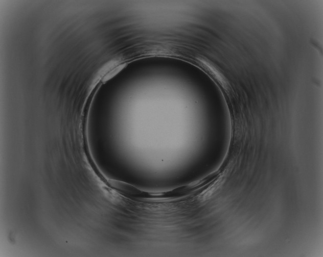 X0000093161434200709261500