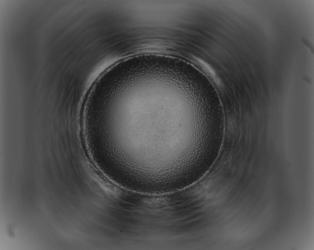 X0000093161435200709261500