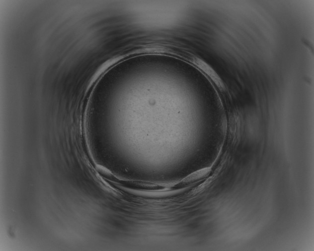 X0000093161436200709261500