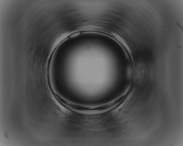 X0000093161437200709261500