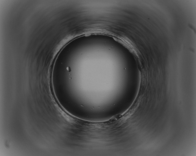X0000093161438200709261500