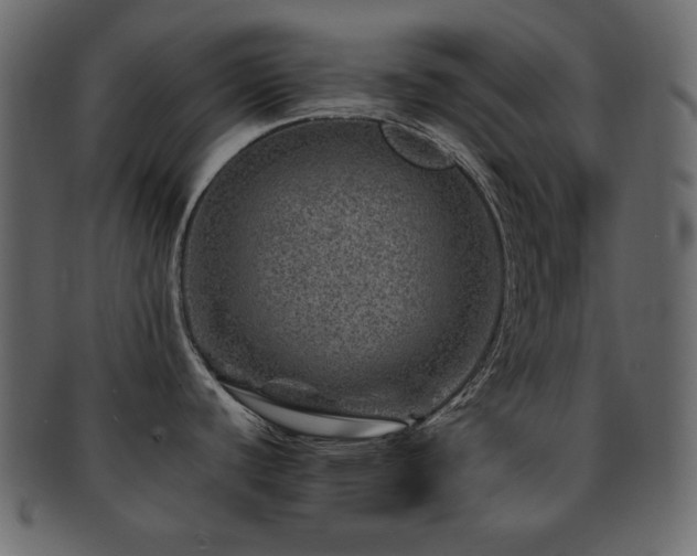 X0000093161440200709261500