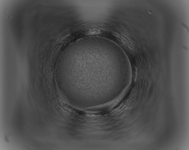 X0000093161441200709261500