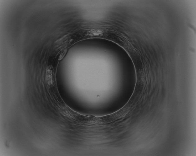 X0000093161442200709261500