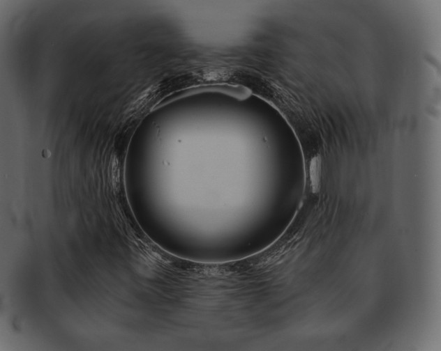 X0000093161443200709261500