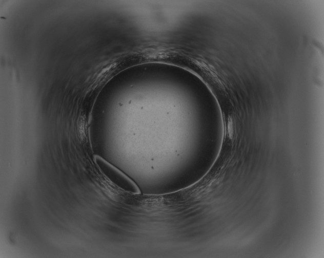 X0000093161444200709261500