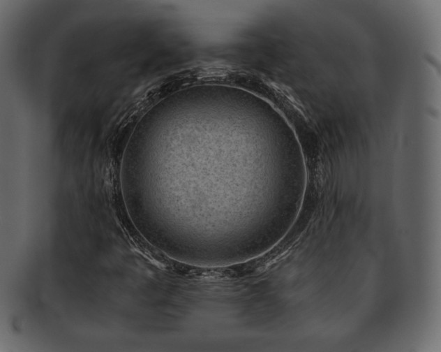 X0000093161445200709261500