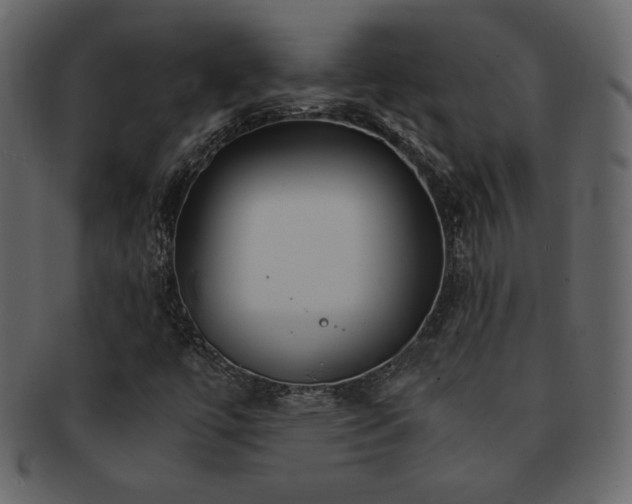 X0000093161447200709261500