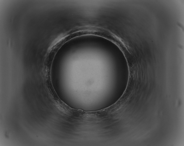 X0000093161448200709261500