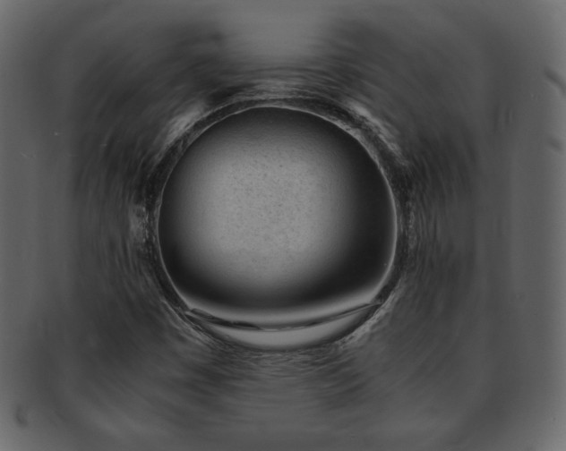 X0000093161449200709261500