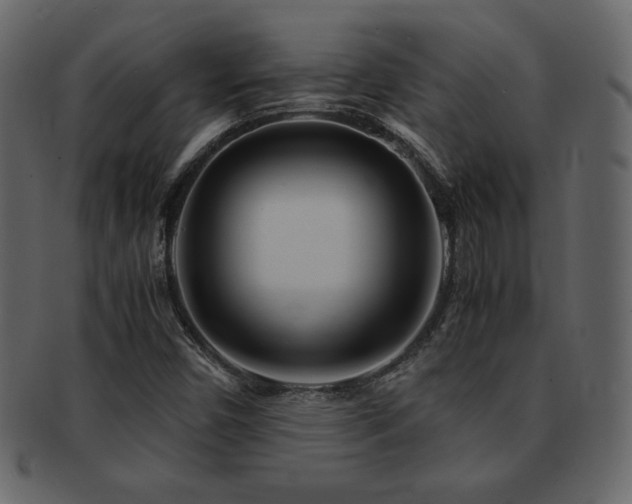 X0000093161450200709261500