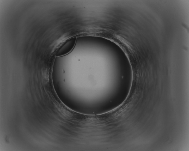 X0000093161451200709261500