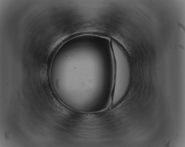 X0000093161452200709261500