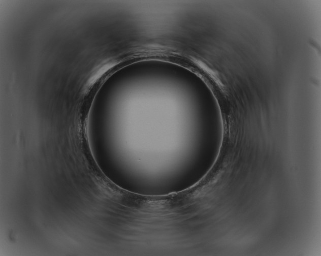 X0000093161453200709261500
