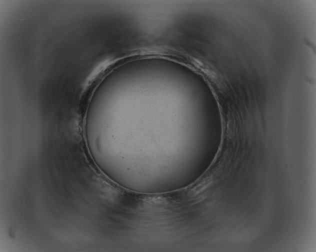 X0000093161454200709261500
