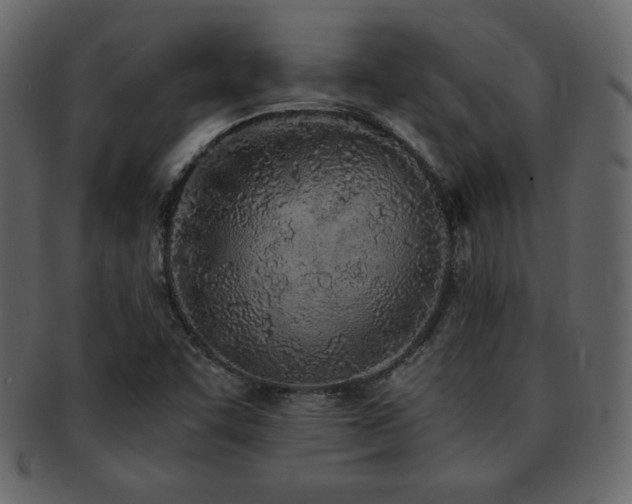 X0000093161455200709261500