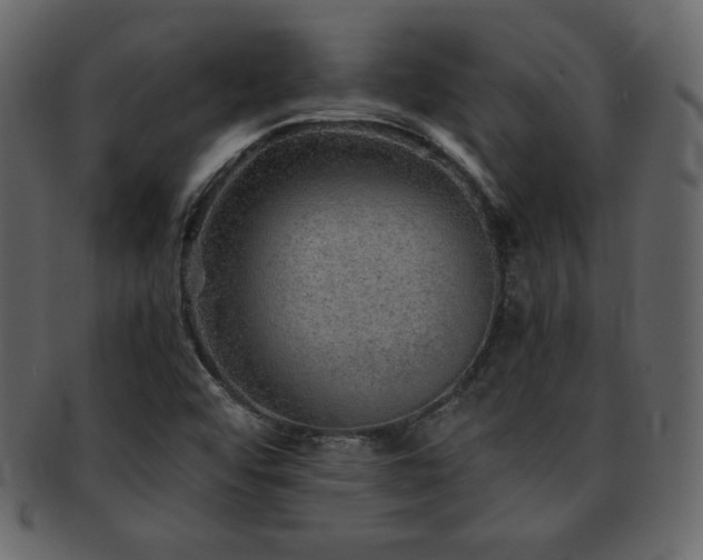 X0000093161456200709261500