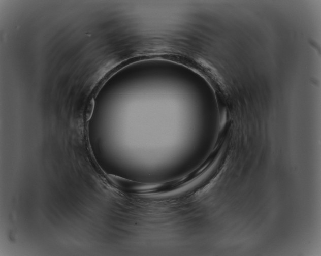 X0000093161457200709261500