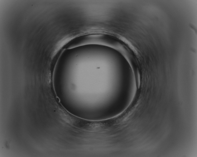 X0000093161461200709261459