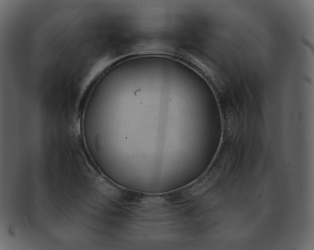 X0000093161462200709261459