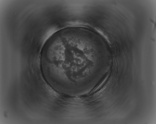 X0000093161463200709261459