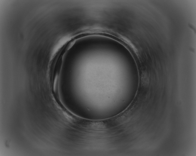 X0000093161464200709261459