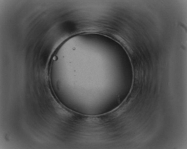 X0000093161466200709261459