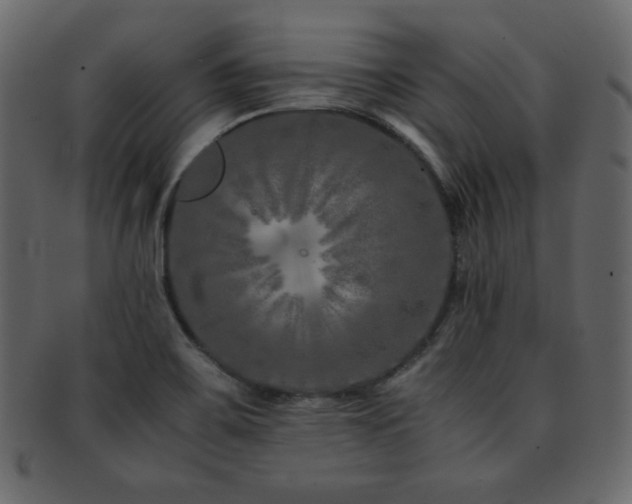 X0000093161467200709261459
