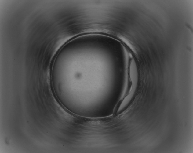 X0000093161468200709261459