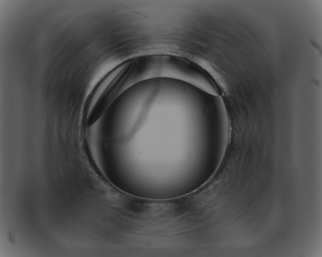 X0000093161469200709261459