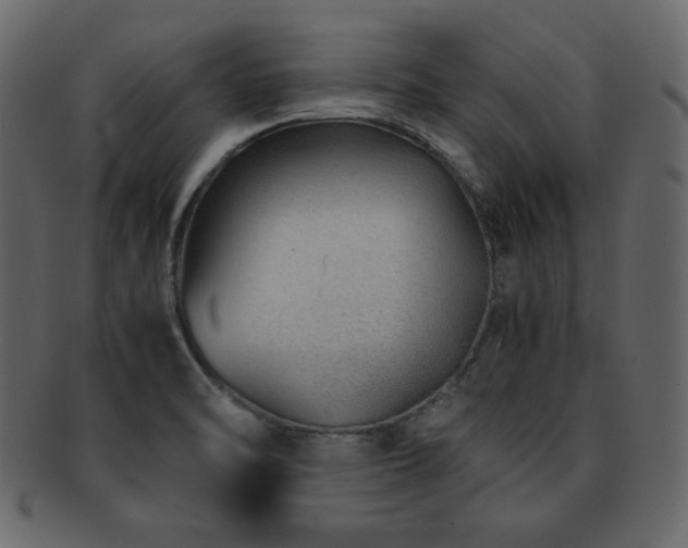 X0000093161470200709261459