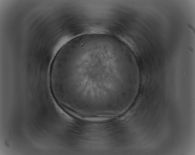 X0000093161471200709261459