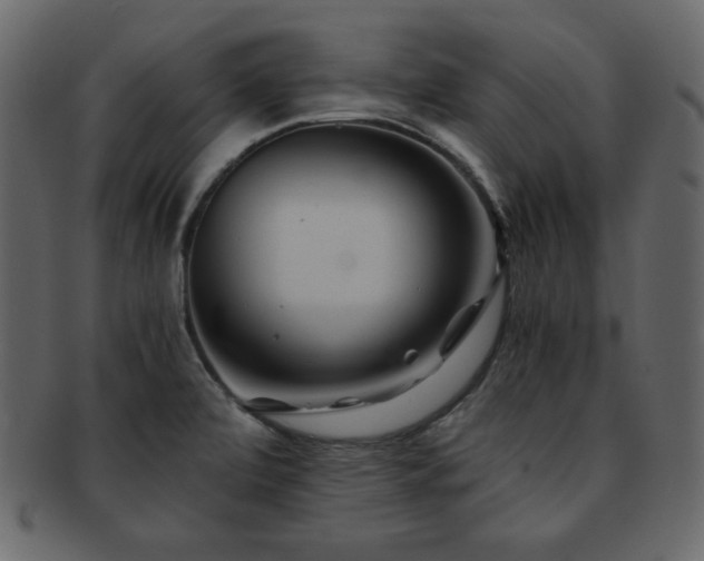 X0000093161472200709261459