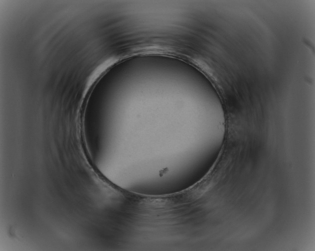 X0000093161474200709261459