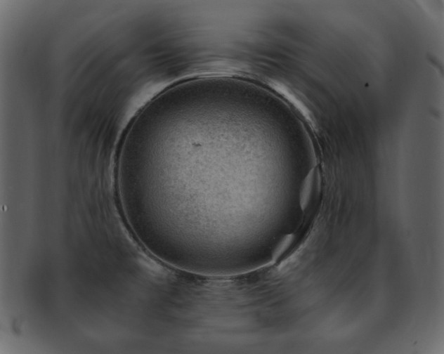 X0000093161477200709261459
