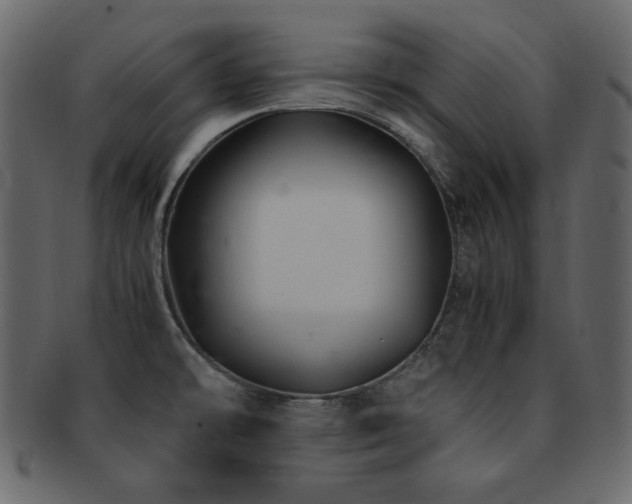 X0000093161478200709261459