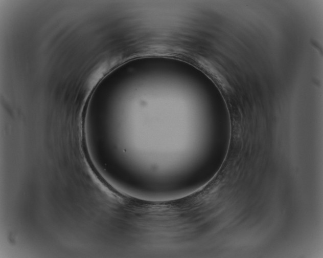 X0000093161479200709261459