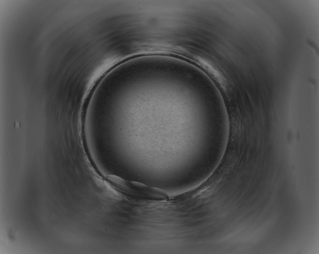 X0000093161480200709261459