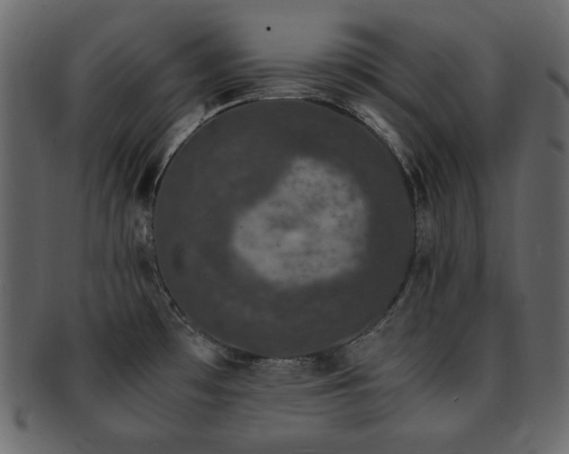 X0000093161481200709261459