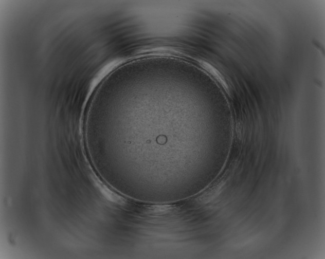 X0000093161482200709261459