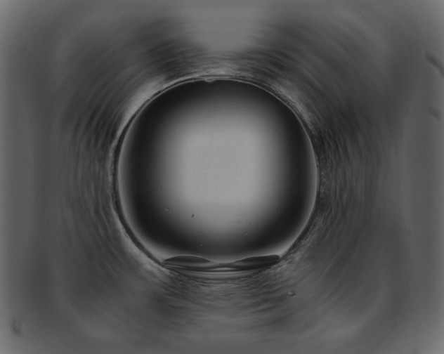 X0000093161483200709261459