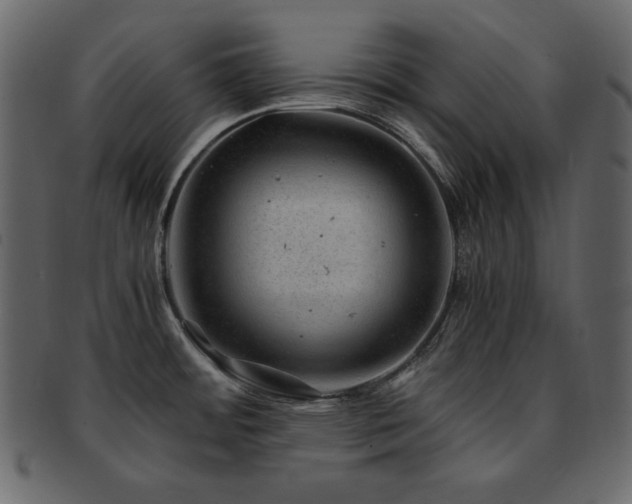 X0000093161484200709261459