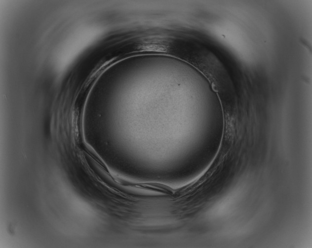 X0000093161487200709261459