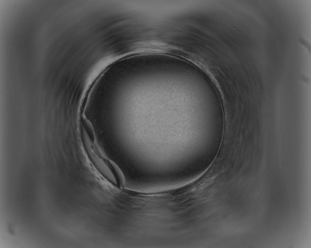 X0000093161488200709261459