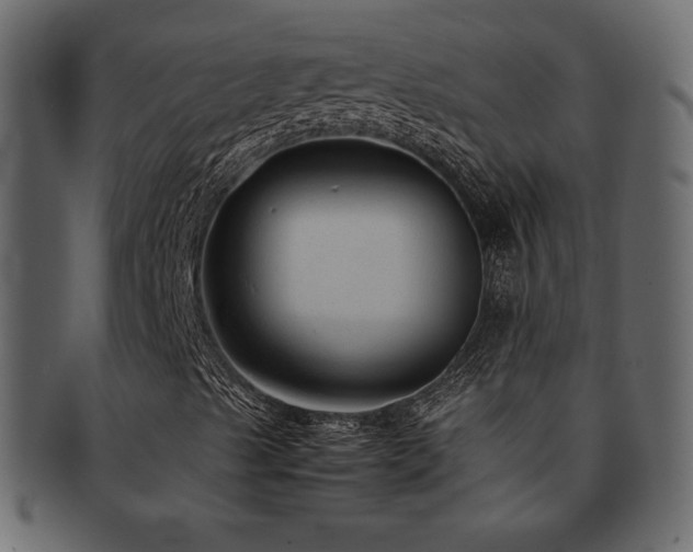 X0000093161489200709261459