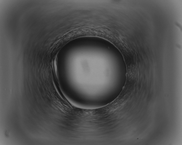 X0000093161490200709261459