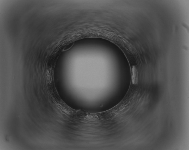 X0000093161491200709261459