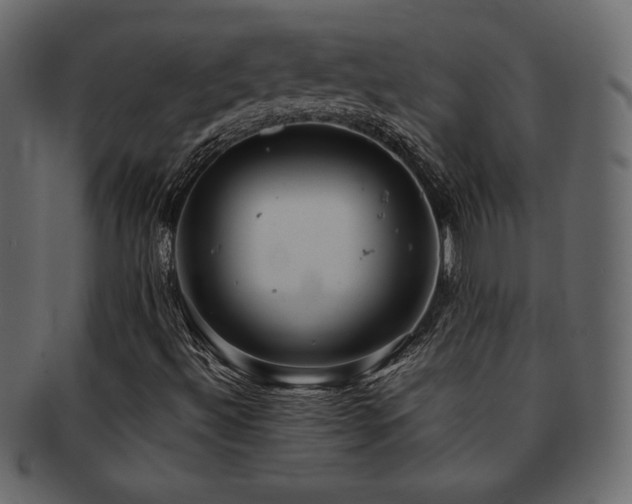 X0000093161492200709261459