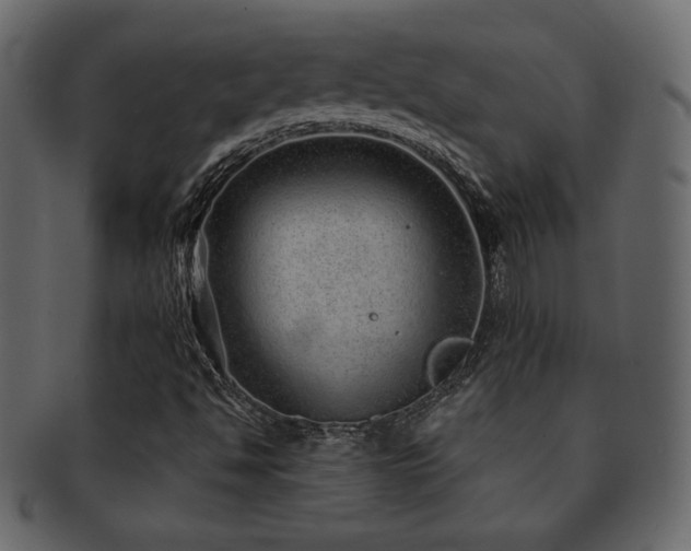 X0000093161494200709261459